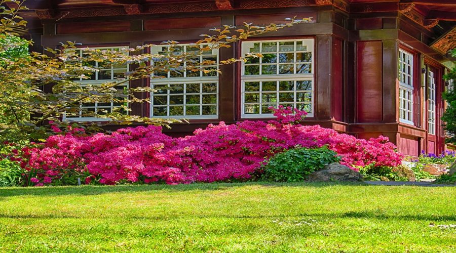 Garten6 Garten6