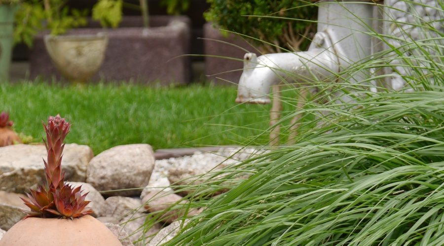 Gartenbau Gartenbau